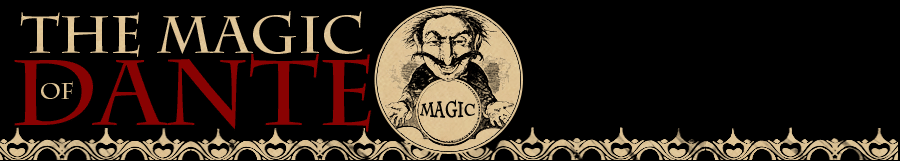 dante magic logo